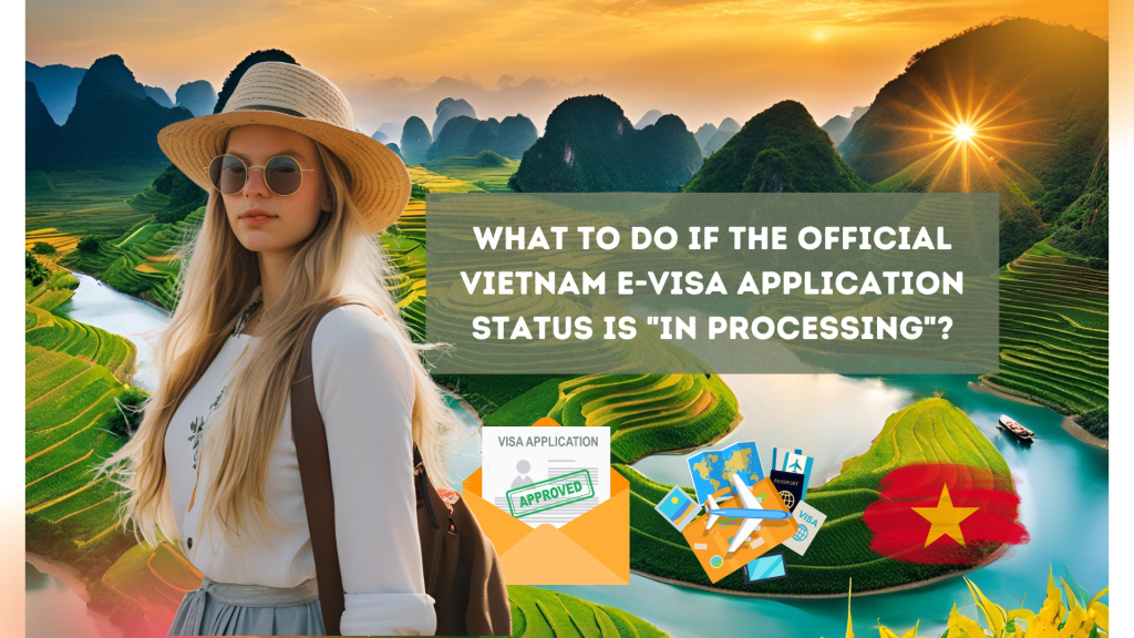 Vi Status (2026) What to do if the official Vietnam e-visa application status is ...